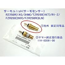 RNZ様用3点セット　TZR250 TZR250（3MA）の後方排気はレーシングマシンTZ250の旋回安定確保